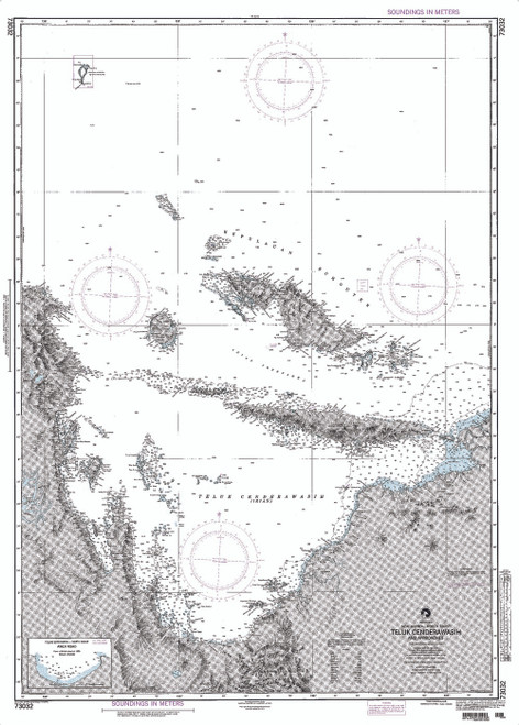 NGA Chart 73032: Teluk Cenderawasih and Approaches