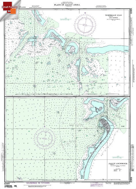 NGA Chart 81809: Northeast Pass, Approx. Size 21" x 29" (SMALL FORMAT WATERPROOF)