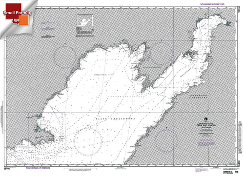 NGA Chart 96460: Zaliv Shelikhova, Approx. Size 21" x 30" (SMALL FORMAT WATERPROOF)