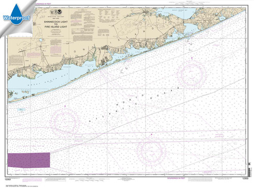Waterproof NOAA Chart 12353: Shinnecock Light to Fire Island Light