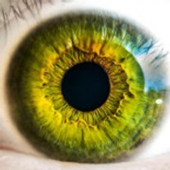 How Contact Lenses Work? How Contact Lenses Work?