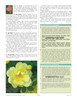 Almanac Rose Guide - Interior Page Sample