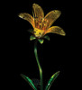 Solar Tiger Lily Stake - Yellow