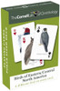 BIRDS OF EASTERN/CENTRAL NORTH AMERICA PLAYING CARDS