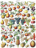 Fruits Jigsaw Puzzle 1000 Piece