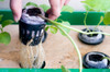 Webcast: Hydroponics Gardening 101