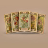 Botanica Oculta Tarot 80 Card Deck