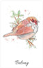 "Belong" card from the oracle deck featuring a watercolor illustration of a red bird perched on a branch against a white background