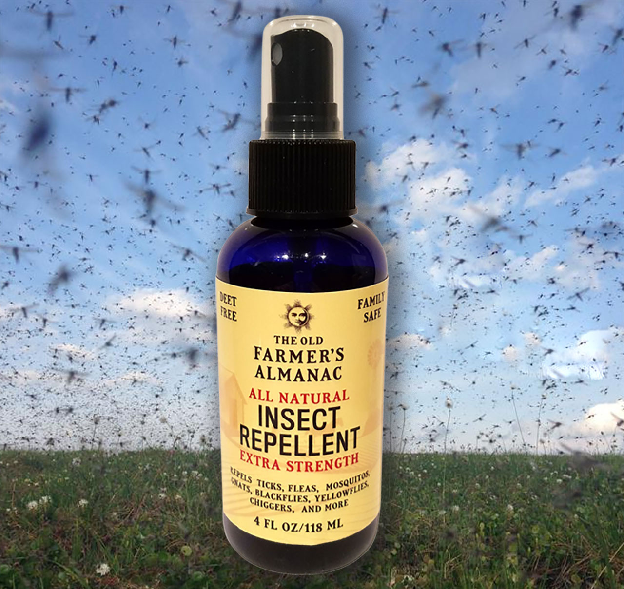 Repellents: Get All the Details