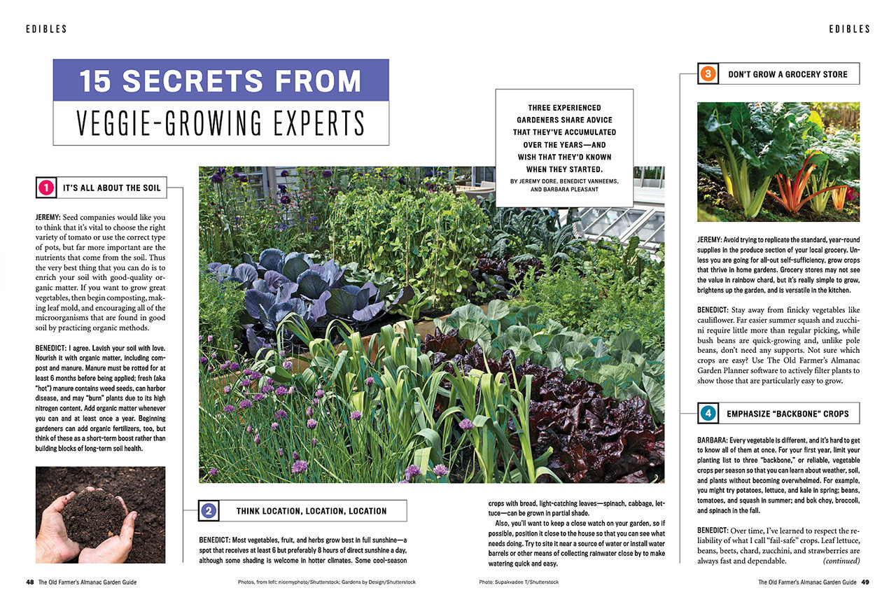 Get Growing: Expert gardening tips and information