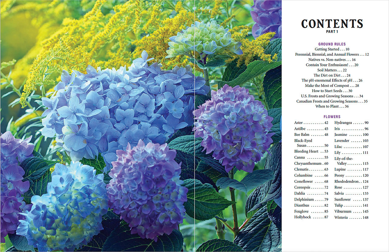 Types of Flowers & Plants: Perennial, Annual, Biennial Demystified