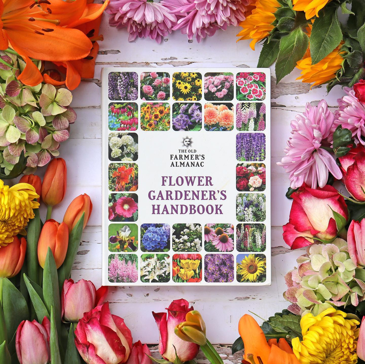 FLOWERS: DIGITAL COFFEE TABLE BOOK: The Beautiful Art Of