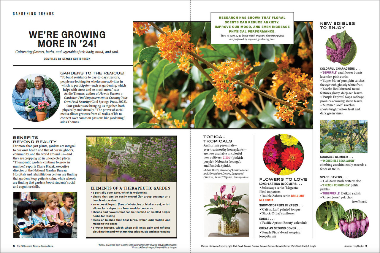 Seasonal Gardening Guides: Cultivate Year-Round Bliss