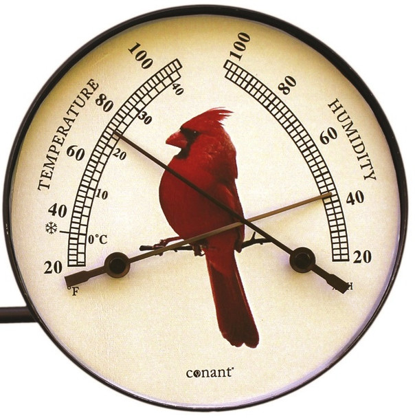 Cardinal Window Weather Station