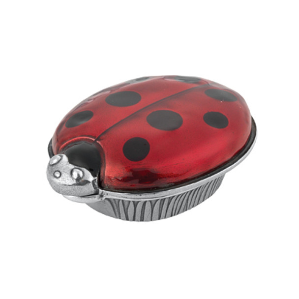 Ladybug Toothfairy Box