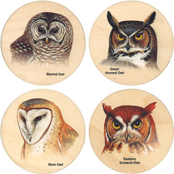 Owls of North America Coasters