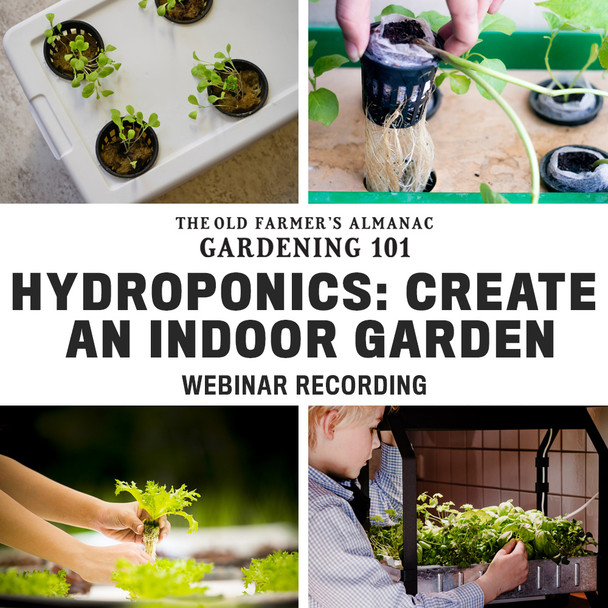 Hydroponics Gardening 101 Webinar  Recording