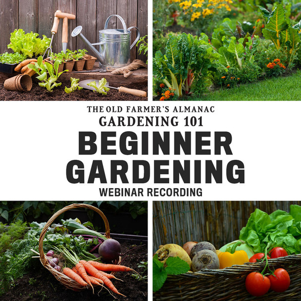 Gardening 101: Beginner Gardening Webinar Recording