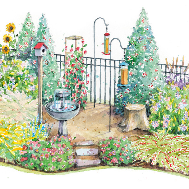 Wildlife Garden - Bird-Feeding Beauty Garden Plan