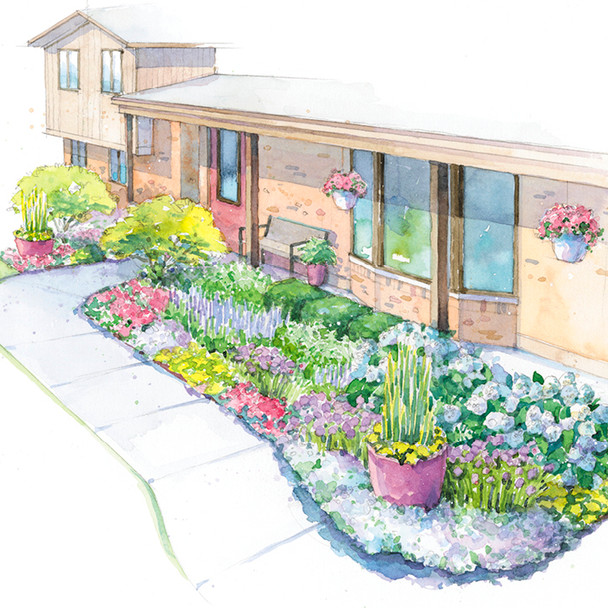 Full Sun Garden - Liven Up Your Entry Garden Plan