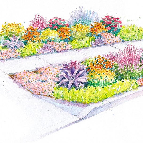 Full Sun Garden - Surround Your Sidewalk with Color Garden Plan