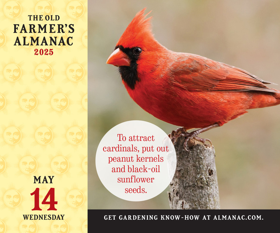 Gardening Wall Calendar Gardening Wall Calendar