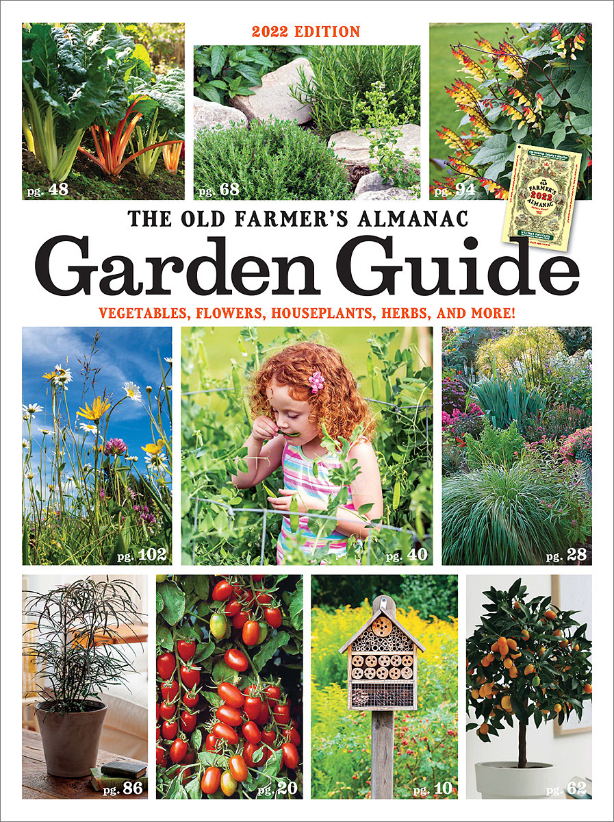 2022 Garden Guide - Print Edition