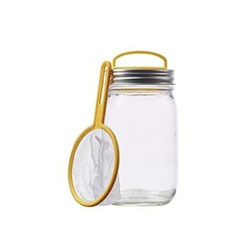 MJL Firefly Catching Kit for Regular Mouth Mason or Ball  Jars
