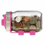MJL Jarware Piggy Bank Lid and Attachment for Regular Mouth Pint Mason or Ball Jars Pink or Blue