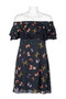 Sam Edelman Elastic Flutter Off-Shoulder Floral Chiffon Shift Dress