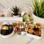 Facial Care Sample Set - Customizable