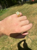 HarlemBling Real Solid 14k Gold Vermeil 925 Sterling Silver Iced Out Crown Diamond Pinky Ring Hip Hop