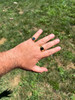 Miami Cuban Ring - 14k Gold Vermeil 925 SIlver - Black Onyx Stone