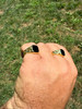 Miami Cuban Ring - 14k Gold Vermeil 925 SIlver - Black Onyx Stone
