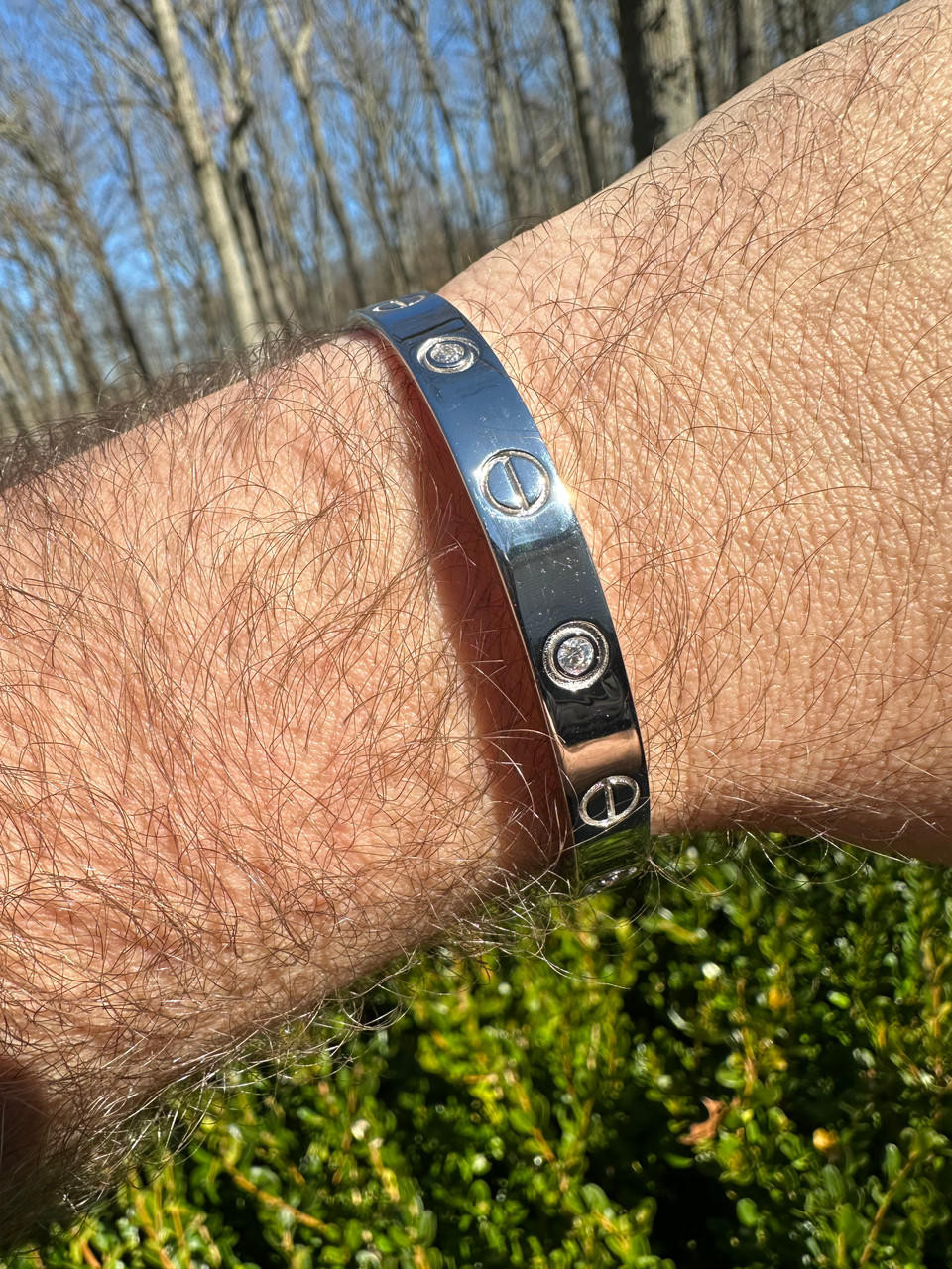 Cartier Love Bracelet Men Silver MOISSANITE Classic Love Bangle