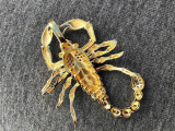 HarlemBling Mens 14k Yellow Gold Over 925 Silver Large 1.5x2 Scorpion Pendant SCORPIO ICY