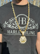 HarlemBling Huge 3.5 Iced Hip Hop 14K Gold Vermeil 925 Angry Pitbull Dog Pendant Necklace