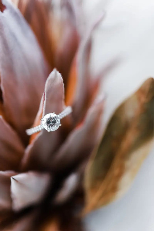 Does Moissanite Scratch Easily? Understanding Moissainite Durability Does Moissanite Scratch Easily? Understanding Moissainite Durability