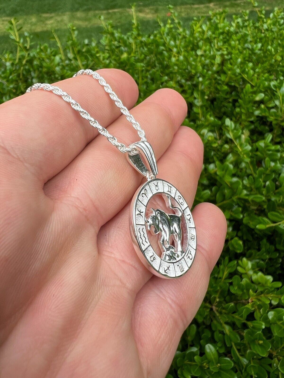 Silver Zodiac Necklace - Pisces - Pendant & Chain from Hillier Jewellers UK