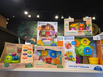 Play & Learn: Toys That Grow More Than Just Fun! 