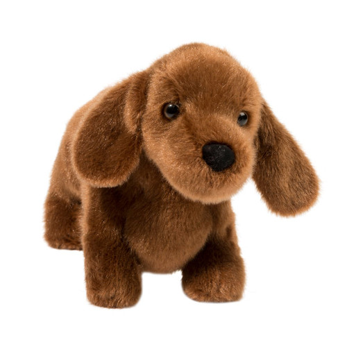 Dilly Dachshund 