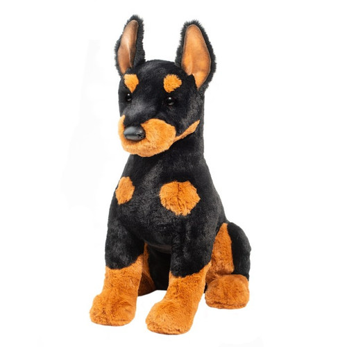 Maverick Doberman 