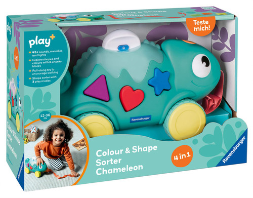 Color & Shape Sorter: Chameleon
