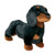 Spats Black & Tan Dachshund