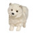 Phoebe Pomsky 