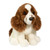 Chip Springer Spaniel 
