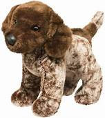 Ivan German Pointer