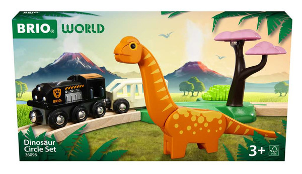 Dinosaur Circle Set 