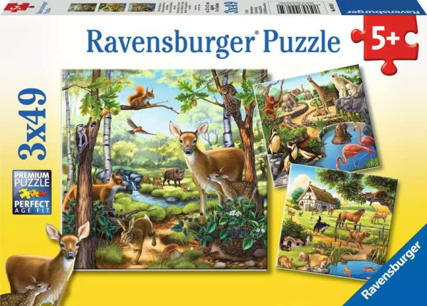 Forest/Zoo/Domestic Animals 3x49pc