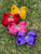Strawberry Squishy Bow